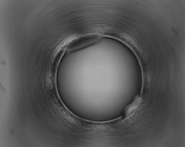 X0000091091018200708060954