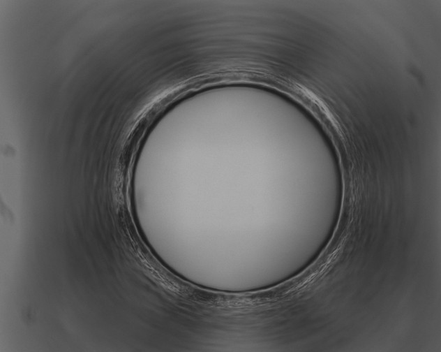X0000091091019200708060954