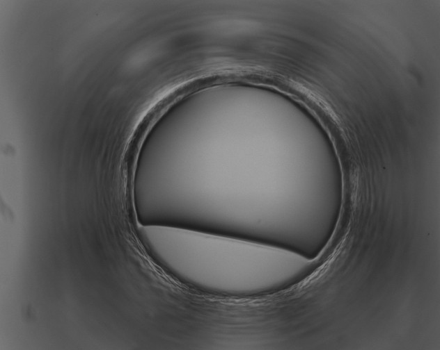 X0000091091021200708060954