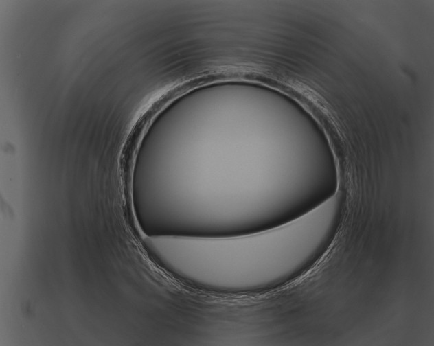 X0000091091022200708060954