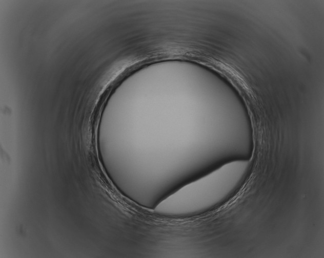 X0000091091023200708060954