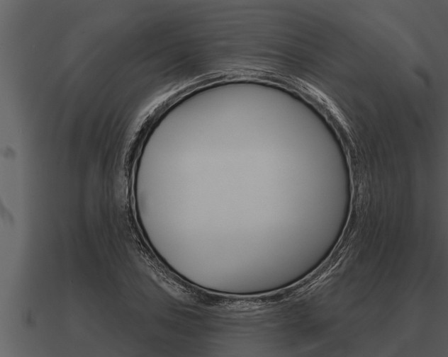 X0000091091027200708060954