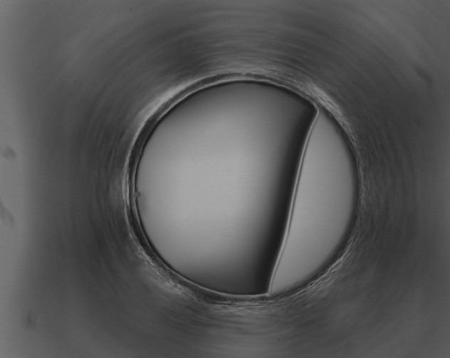 X0000091091028200708060954