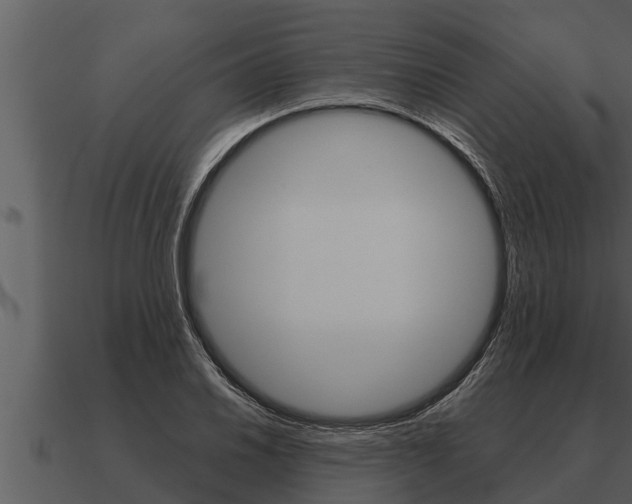 X0000091091030200708060954