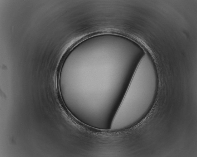 X0000091091032200708060954