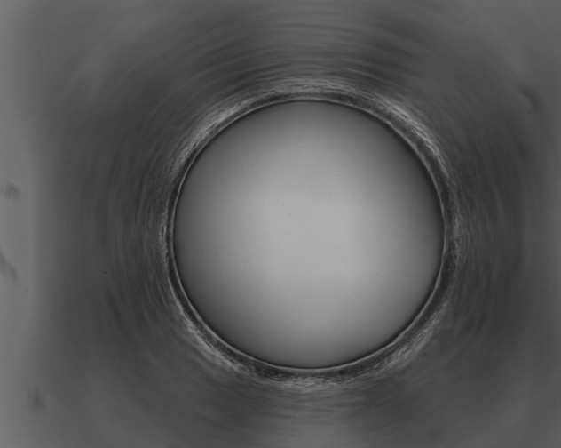 X0000091091033200708060955