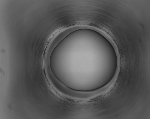 X0000091091034200708060955