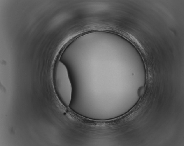 X0000091091035200708060955