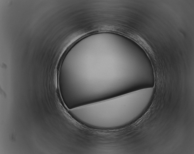 X0000091091036200708060955