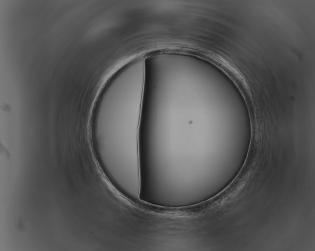 X0000091091037200708060955