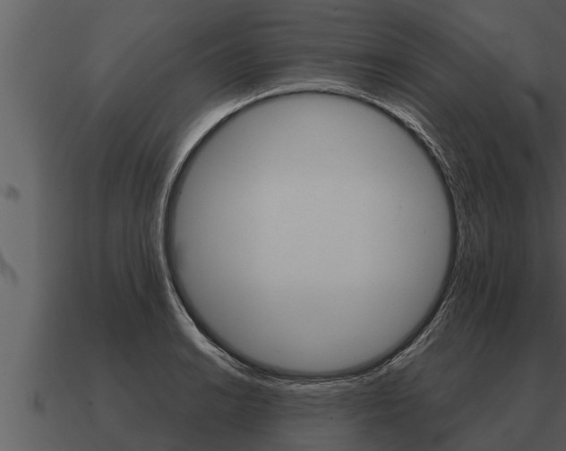 X0000091091038200708060955