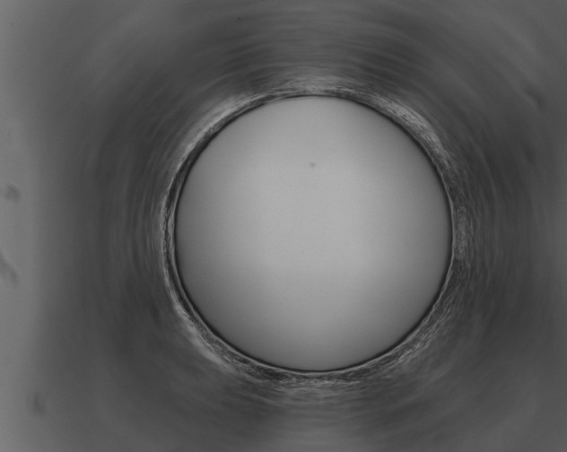 X0000091091039200708060955
