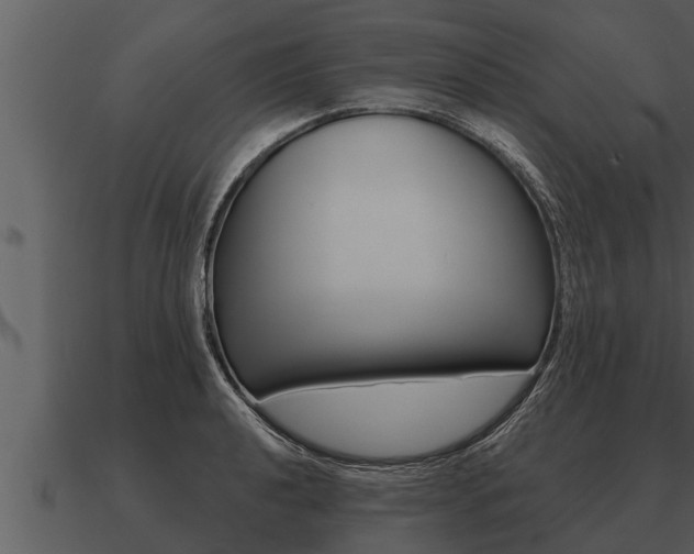X0000091091040200708060955