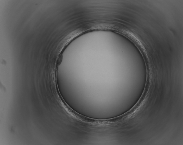 X0000091091041200708060955