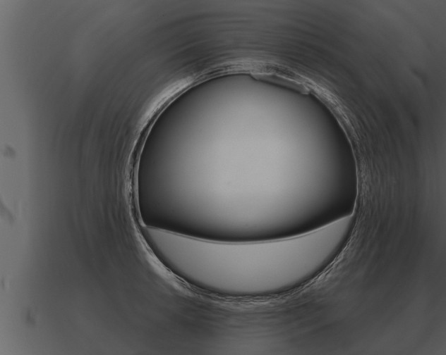 X0000091091042200708060955