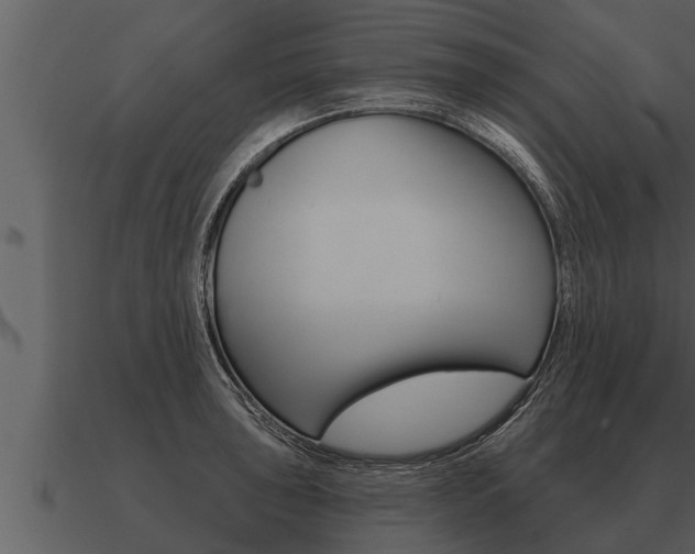 X0000091091043200708060955