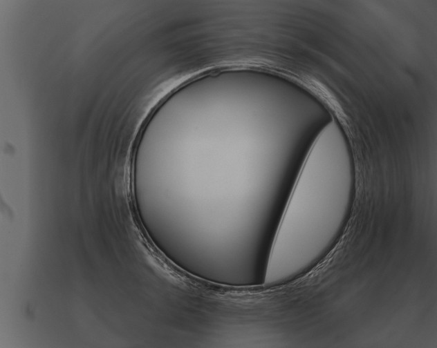 X0000091091044200708060955