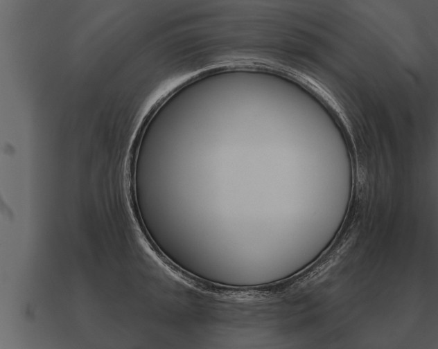 X0000091091045200708060955