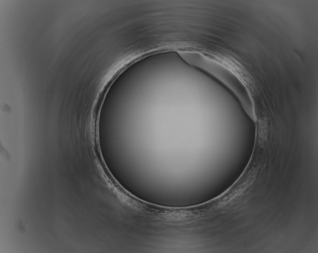 X0000091091046200708060955