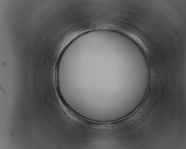 X0000091091047200708060955