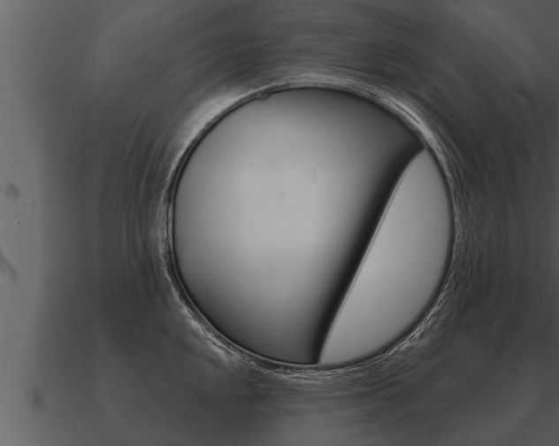 X0000091091048200708060955
