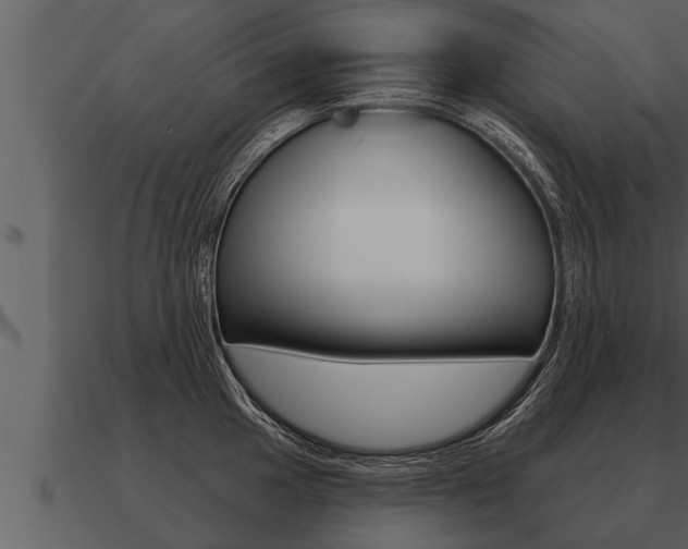 X0000091091049200708060955