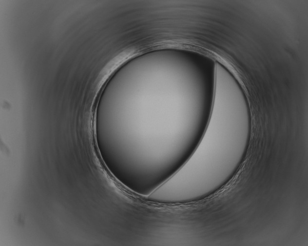 X0000091091050200708060955