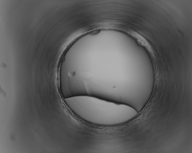 X0000091091051200708060955