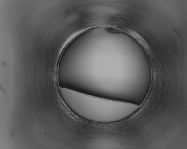 X0000091091052200708060955