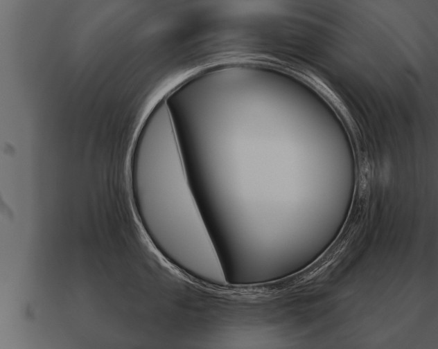 X0000091091053200708060955