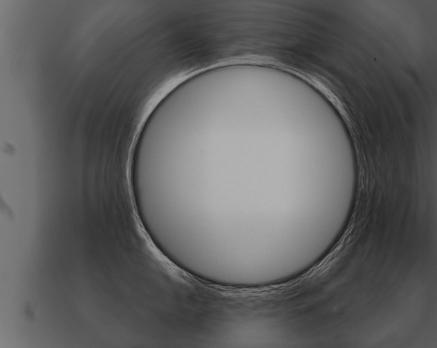 X0000091091054200708060955