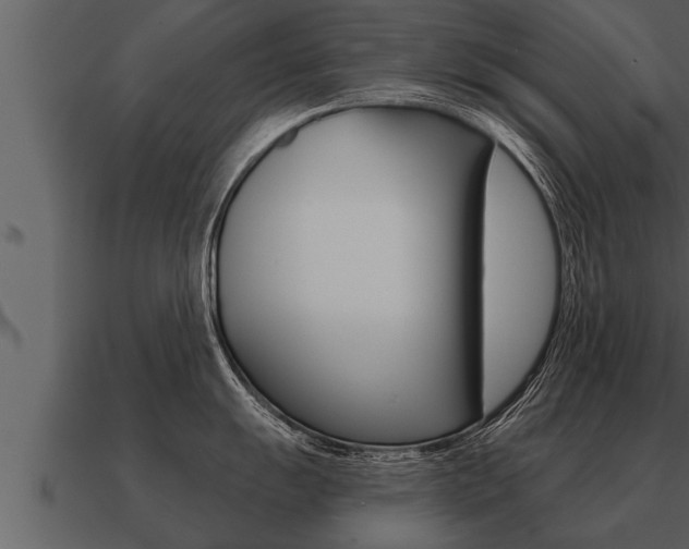 X0000091091055200708060955