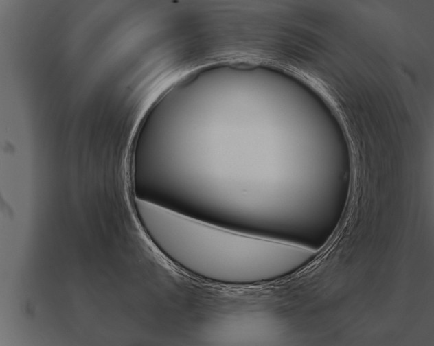 X0000091091056200708060955