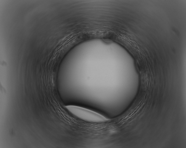 X0000091091058200708060954