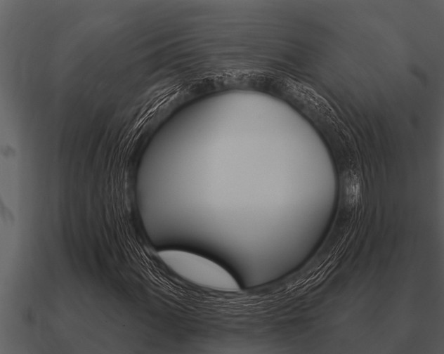 X0000091091060200708060954