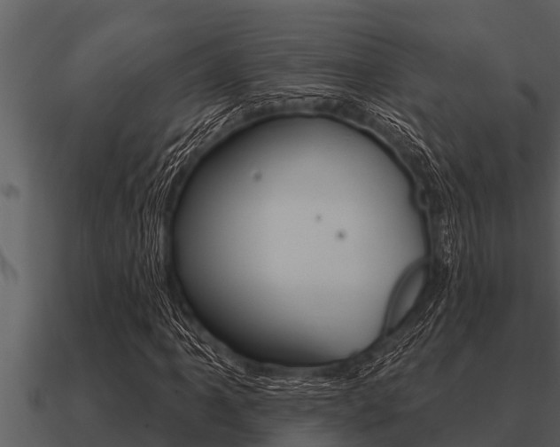 X0000091091061200708060954