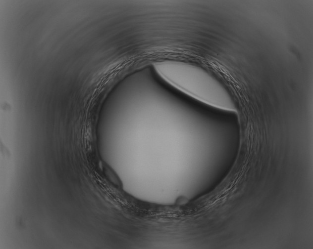 X0000091091062200708060954