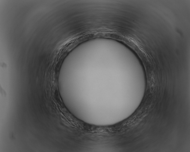 X0000091091063200708060954