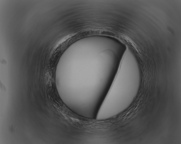 X0000091091064200708060954