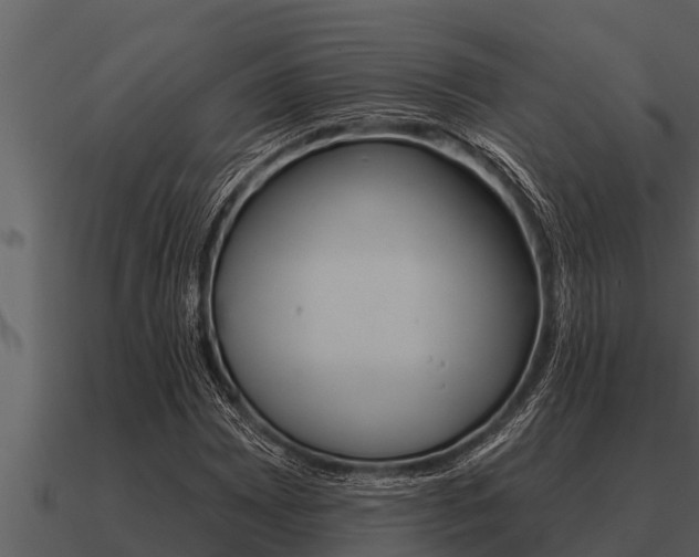 X0000091091065200708060954