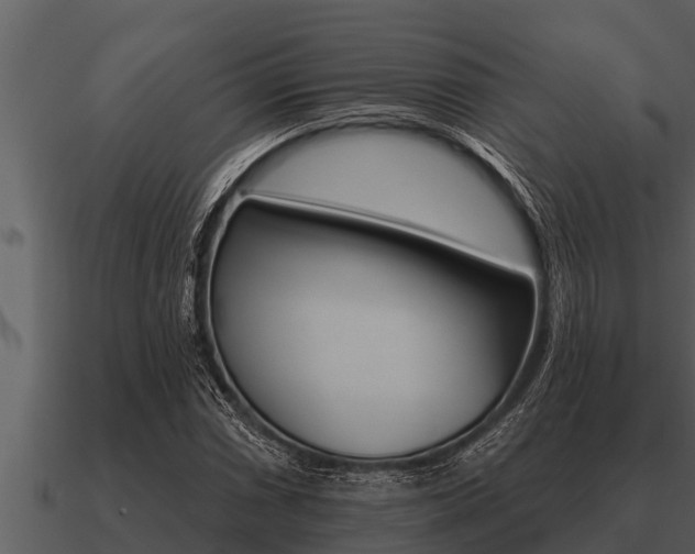 X0000091091066200708060954
