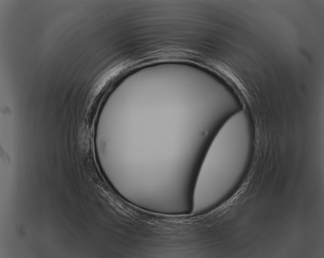 X0000091091067200708060954