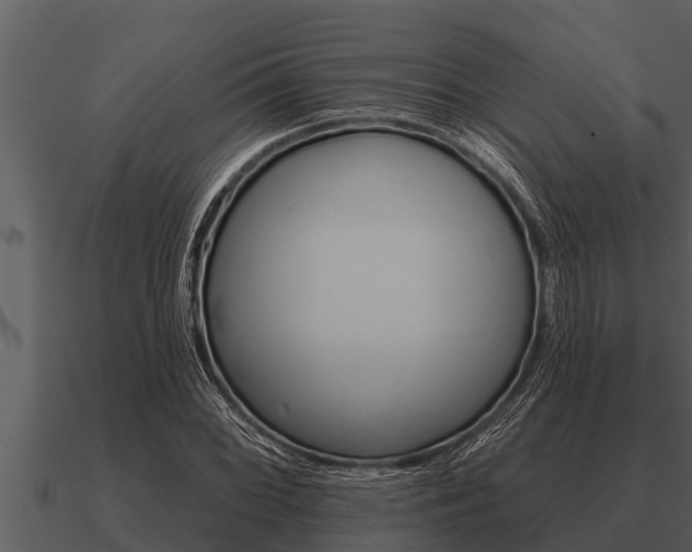 X0000091091068200708060954