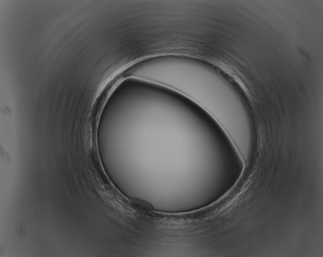 X0000091091069200708060954