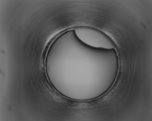 X0000091091070200708060954