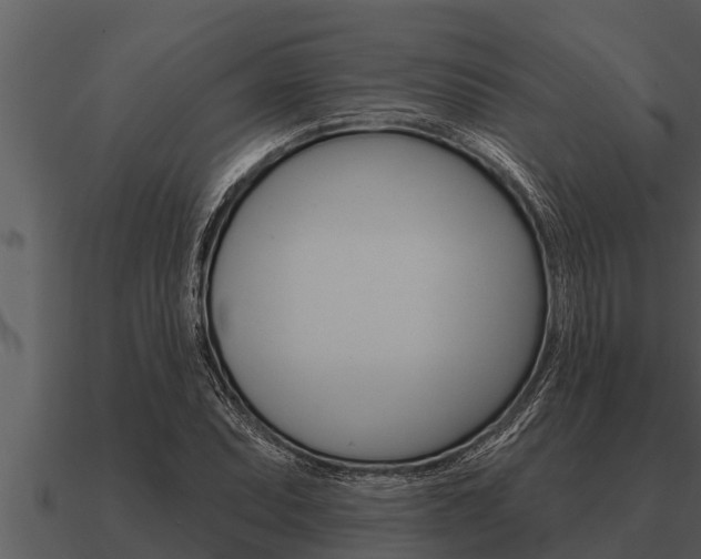 X0000091091071200708060954