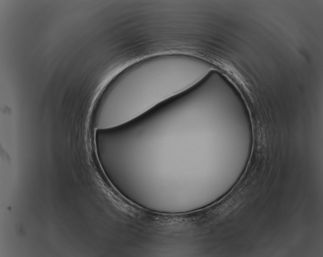 X0000091091072200708060954