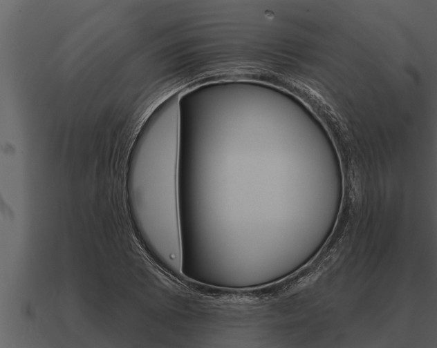 X0000091091073200708060954