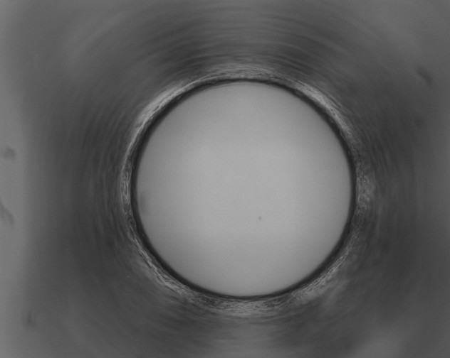 X0000091091074200708060954