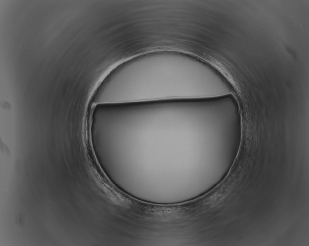 X0000091091076200708060954